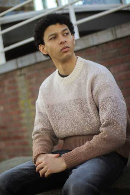 Sweater "triple brown"